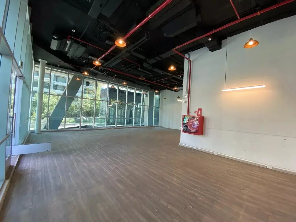 Arriendo De Local Comercial En Pleno San Damián - 132,6 M2
