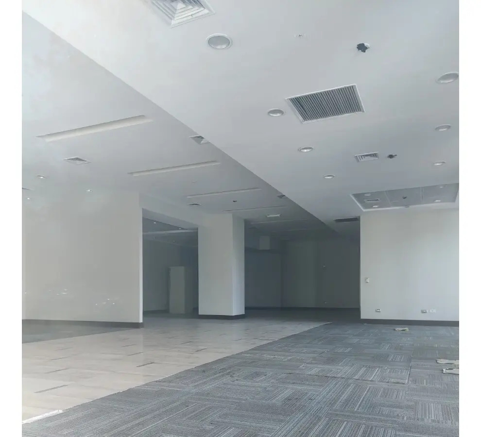 Arriendo Gran Local Comercial San Damián - 480m² — imagen 8