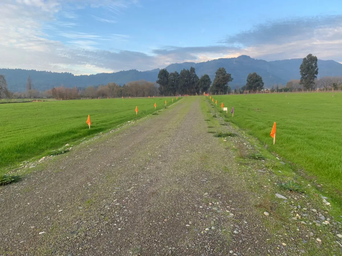 Parcela En Cobún, Termas De Quinamavida, Rol, Pavimento — imagen 2
